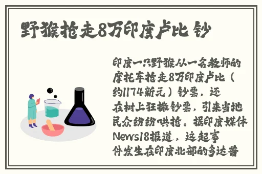 6080蓝雨